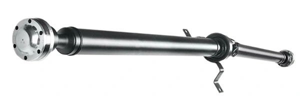 LIZARTE PS0038