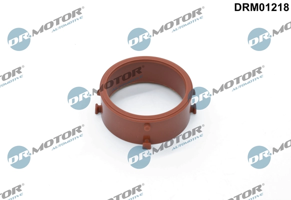 LIZARTE DRM01218