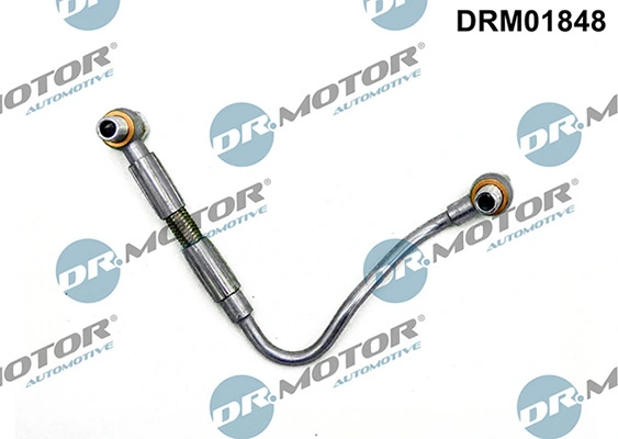 LIZARTE DRM01848