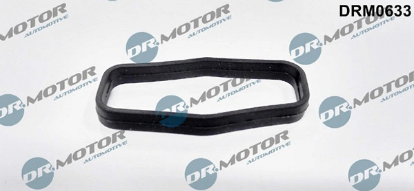 LIZARTE DRM0633