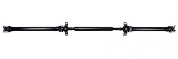 LIZARTE PS0065
