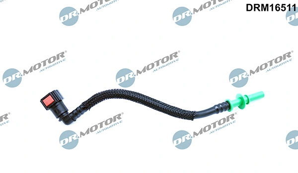 LIZARTE DRM16511
