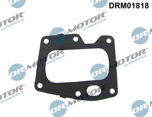 LIZARTE DRM01818