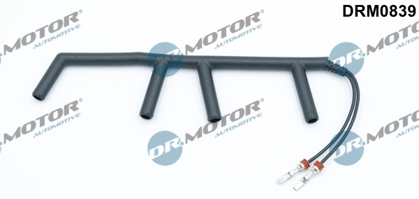 LIZARTE DRM0839