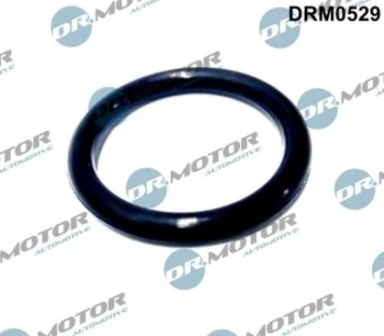LIZARTE DRM0529
