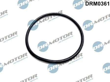 LIZARTE DRM0361