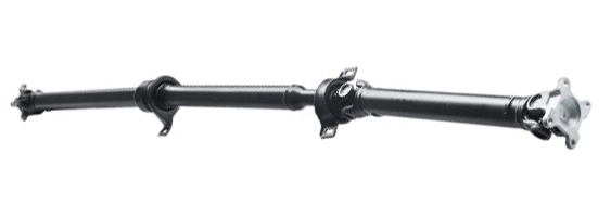 LIZARTE PS0034