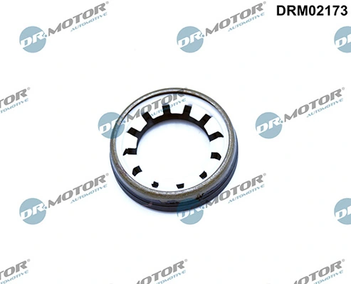 LIZARTE DRM02173