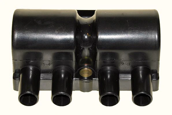 LIZARTE BOBEN019