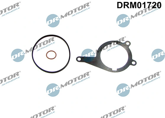 LIZARTE DRM01720