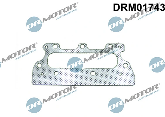 LIZARTE DRM01743