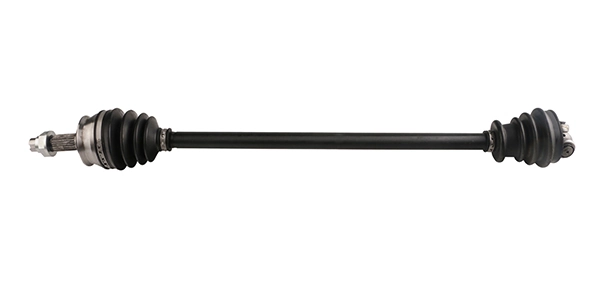 LIZARTE DS0324