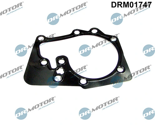 LIZARTE DRM01747