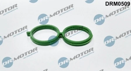 LIZARTE DRM0509