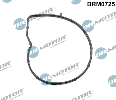 LIZARTE DRM0725