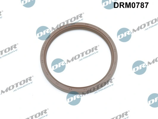 LIZARTE DRM0787