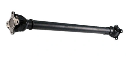 LIZARTE PS0043