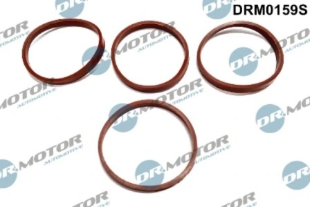 LIZARTE DRM0159S