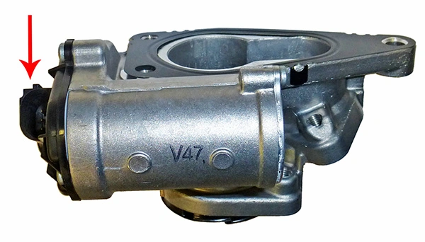 LIZARTE EGR026
