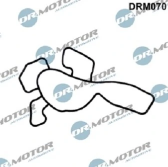 LIZARTE DRM070