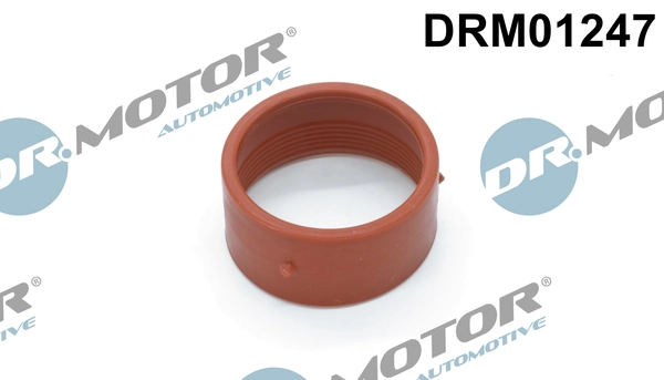 LIZARTE DRM01247