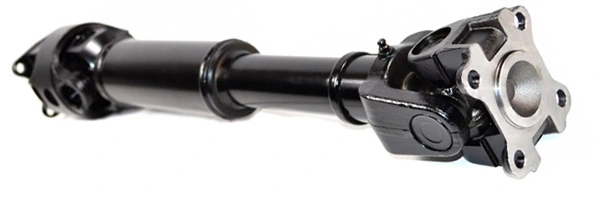 LIZARTE PS0036