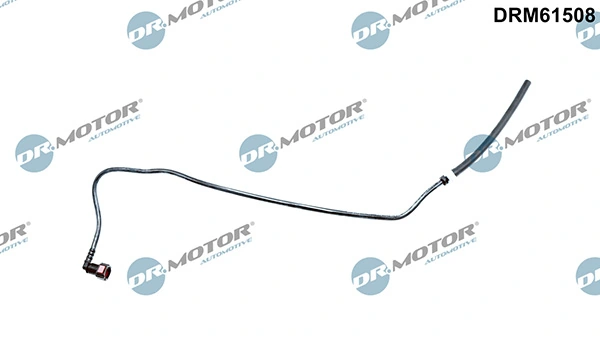 LIZARTE DRM61508