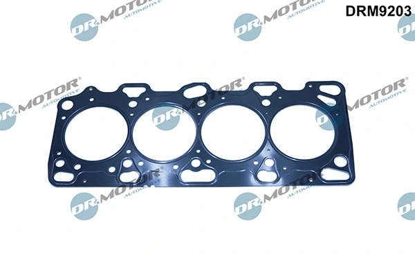 LIZARTE DRM9203