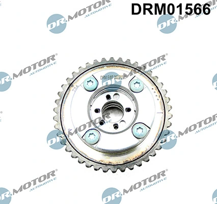 LIZARTE DRM01566