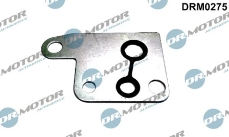 LIZARTE DRM0275