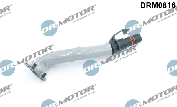 LIZARTE DRM0816