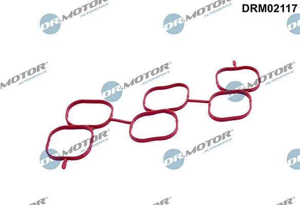 LIZARTE DRM02117