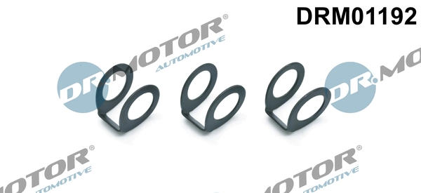 LIZARTE DRM01192