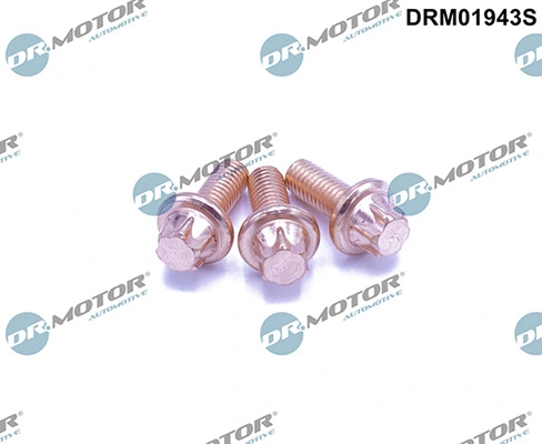 LIZARTE DRM01943S