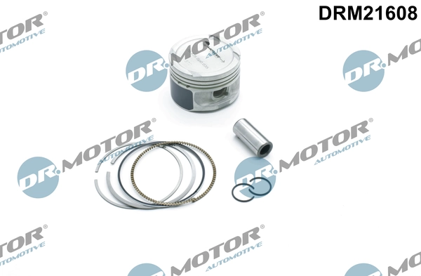 LIZARTE DRM21608