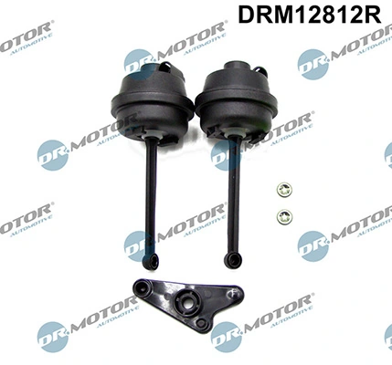 LIZARTE DRM12812R