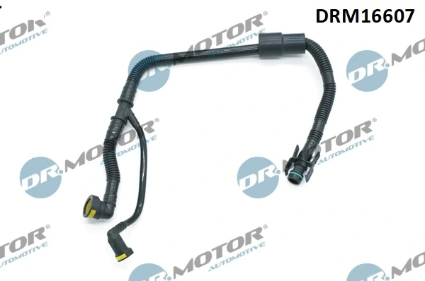 LIZARTE DRM16607