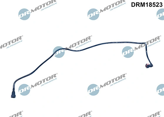 LIZARTE DRM18523