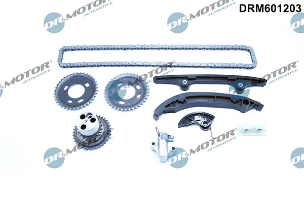 LIZARTE DRM601203