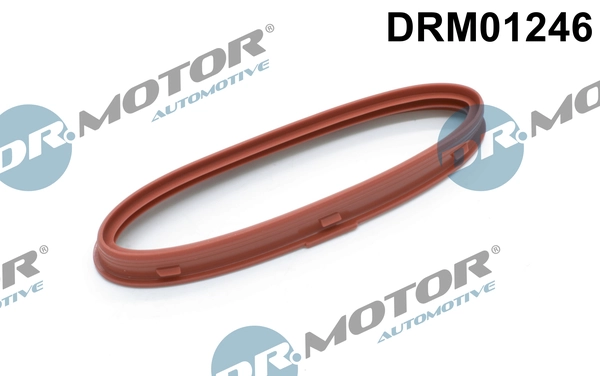 LIZARTE DRM01246