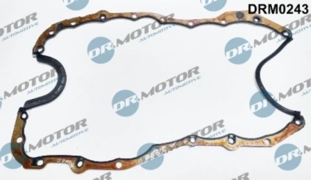 LIZARTE DRM0243
