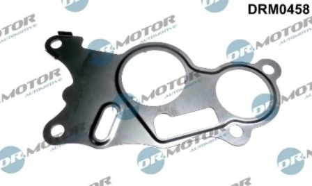 LIZARTE DRM0458