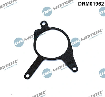 LIZARTE DRM01962