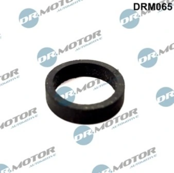 LIZARTE DRM065