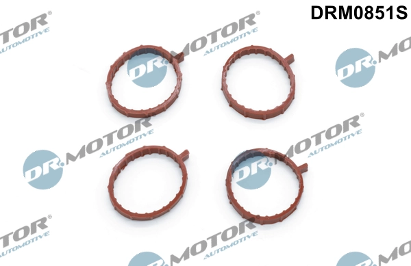 LIZARTE DRM0851S