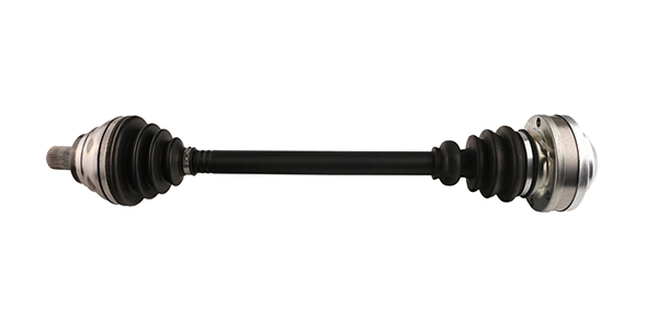 LIZARTE DS0065