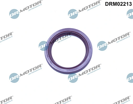 LIZARTE DRM02213