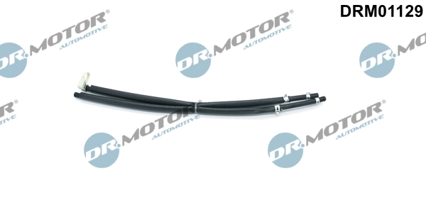 LIZARTE DRM01129