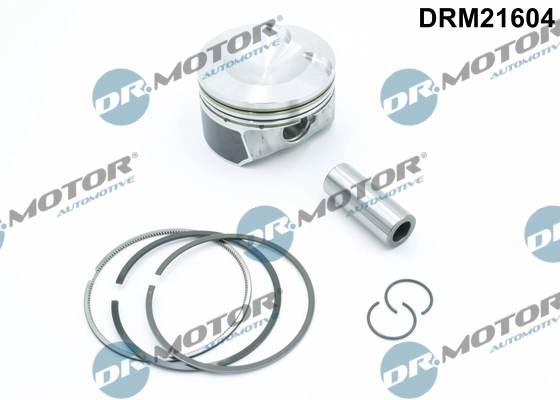 LIZARTE DRM21604