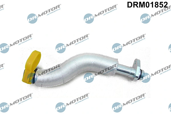 LIZARTE DRM01852
